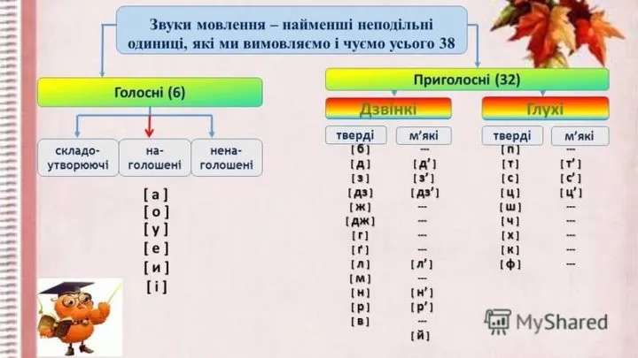 Голосні та приголосні звуки української мови