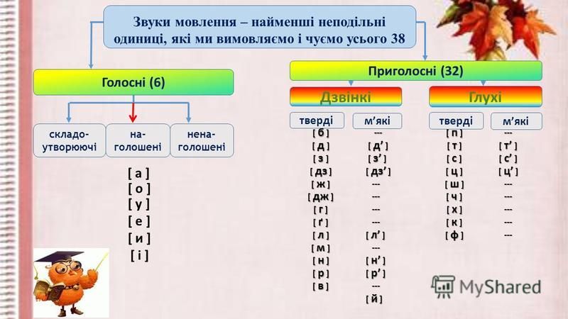 Голосні та приголосні звуки української мови – Українська мова та ...