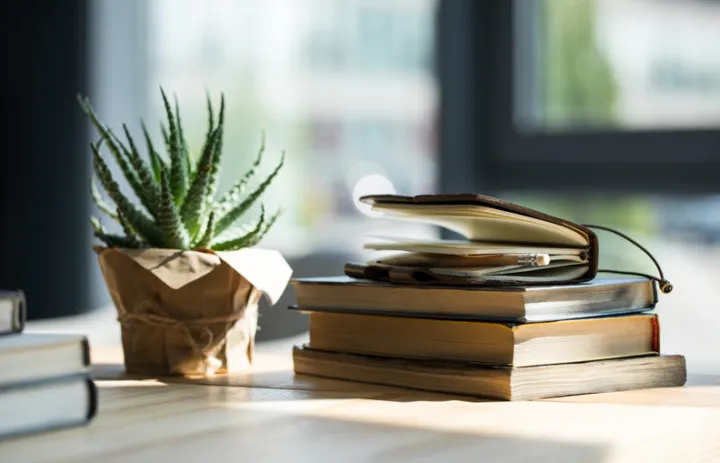 Як книги впливають на життя людини? Власне висловлення