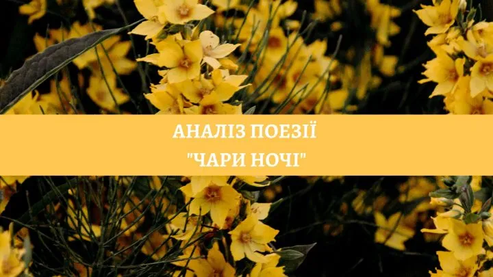 Аналіз поезії “Чари ночі”